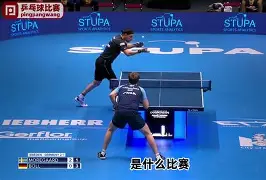 包含德国乒乓球队绝地反击波兰乒乓球队，波尔绝境逆转的词条