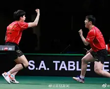 包含德国乒乓球队绝地反击波兰乒乓球队，波尔绝境逆转的词条