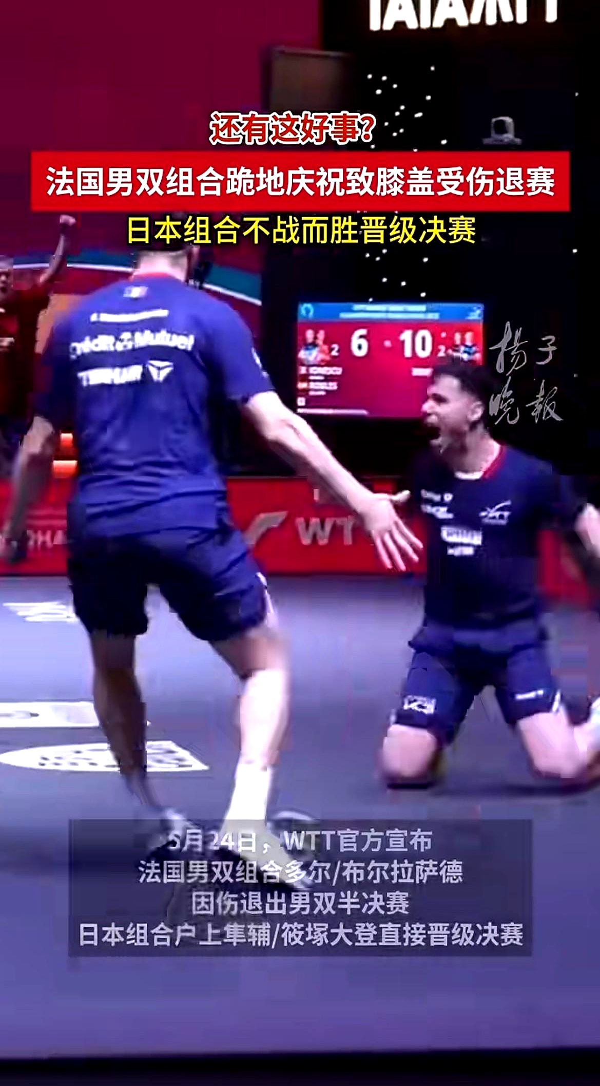 日本乒乓球队险胜法国乒乓球队,波尔完成帽子戏法 日本乒乓球队险胜法国乒乓球队,波尔完成帽子戏法