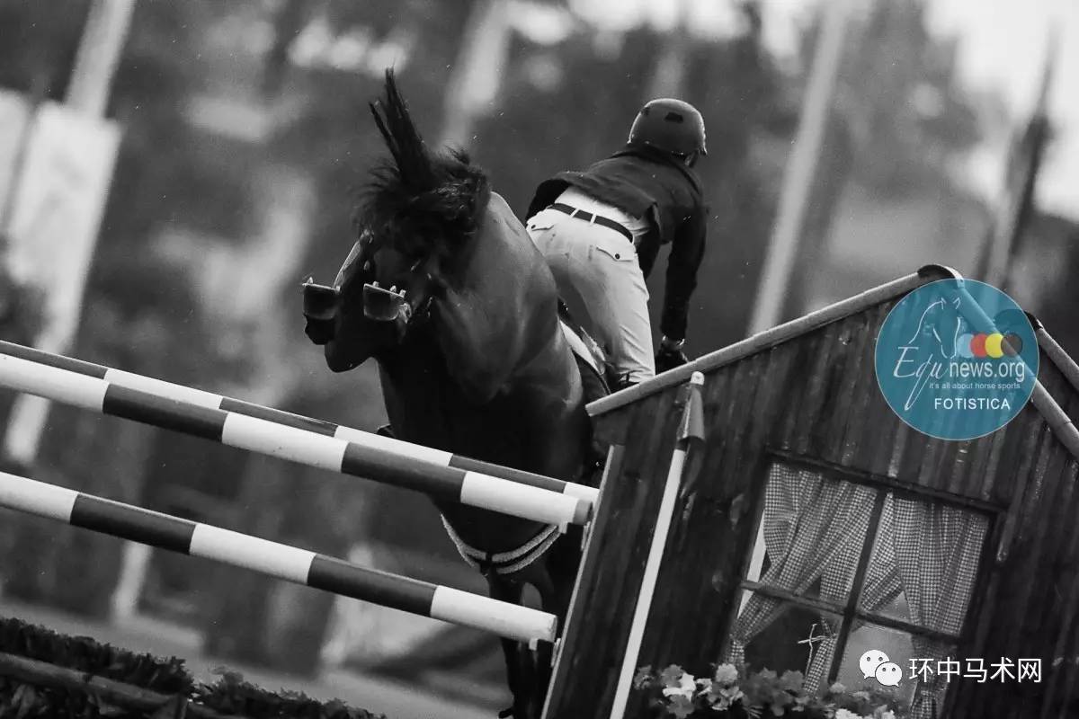 爱尔兰魂梦翱翔:欧锦赛冠绝一切 爱尔兰魂梦翱翔:欧锦赛冠绝一切