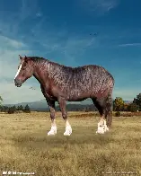 包含马拉加客场大胜塞尔塔,取得激动人心胜利的词条 包含马拉加客场大胜塞尔塔,取得激动人心胜利的词条