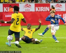 包含芬兰大胜厄瓜多尔，小组出线希望重燃的词条