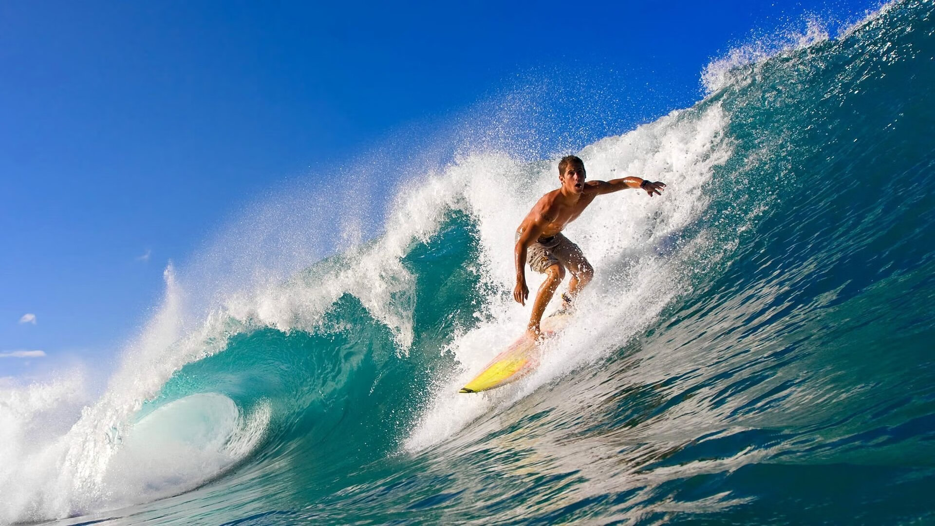 世界排名争夺战焦点战，瑞典踏平新西兰，战术与意志的完胜