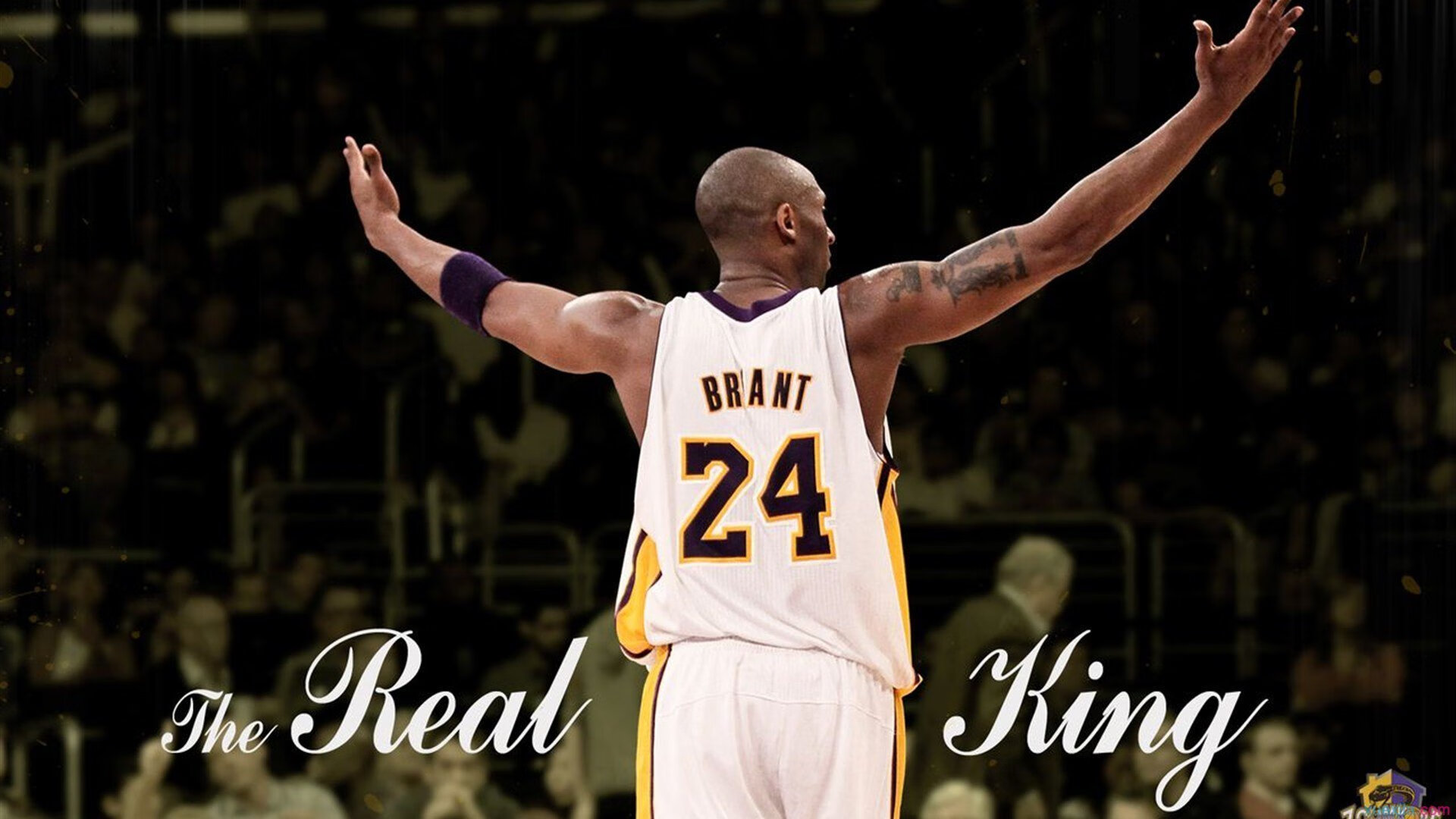 欧冠半决赛焦点战，荷兰全面压制阿森纳